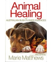 ABFE Animal Healing Book