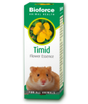 Timid Essence
